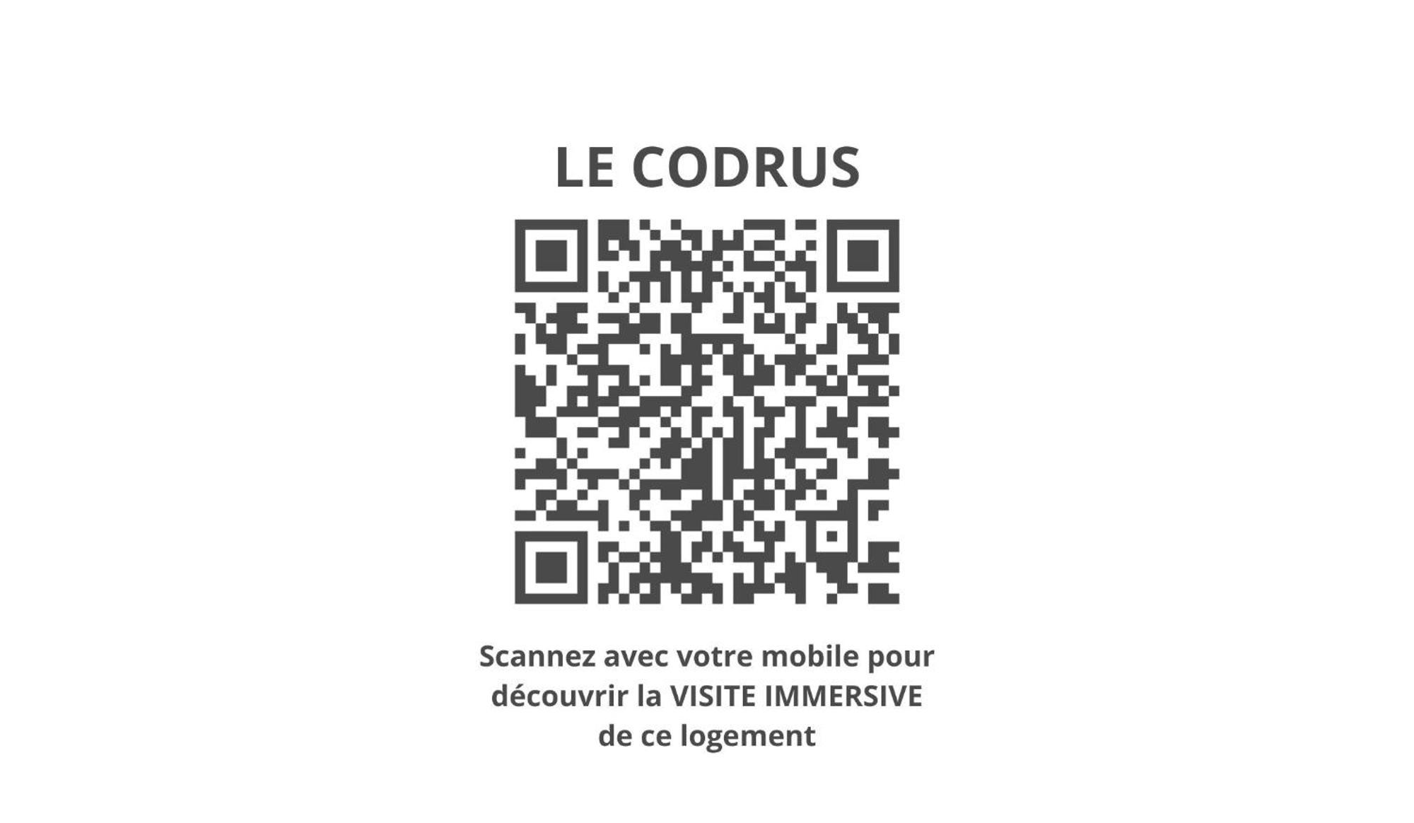 Le Codrus - Charmant Appartement Dans L'Hyper Centre Toulousain Toulouse Eksteriør billede